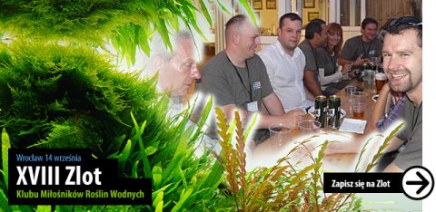 XVIII Zlot Klubu Miłośników Roślin Wodnych - 14.09 Wrocław