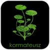 Avatar użytkownika