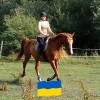 Avatar użytkownika