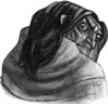 Avatar użytkownika