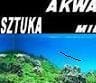 Avatar użytkownika