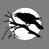 Avatar użytkownika