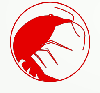 Avatar użytkownika