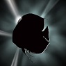 Avatar użytkownika