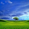 Avatar użytkownika