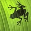 Avatar użytkownika