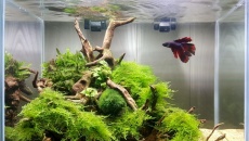 020l - Optiwhite mini m - "One fish" Prz3mEk87