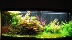 450l - Holenderskie - Heavyseba