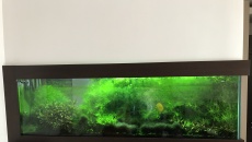 260l - Białe Glossy - Lali75