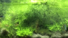 260l - Białe Glossy - Lali75