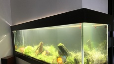 260l - Białe Glossy - Lali75