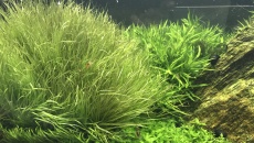 260l - Białe Glossy - Lali75
