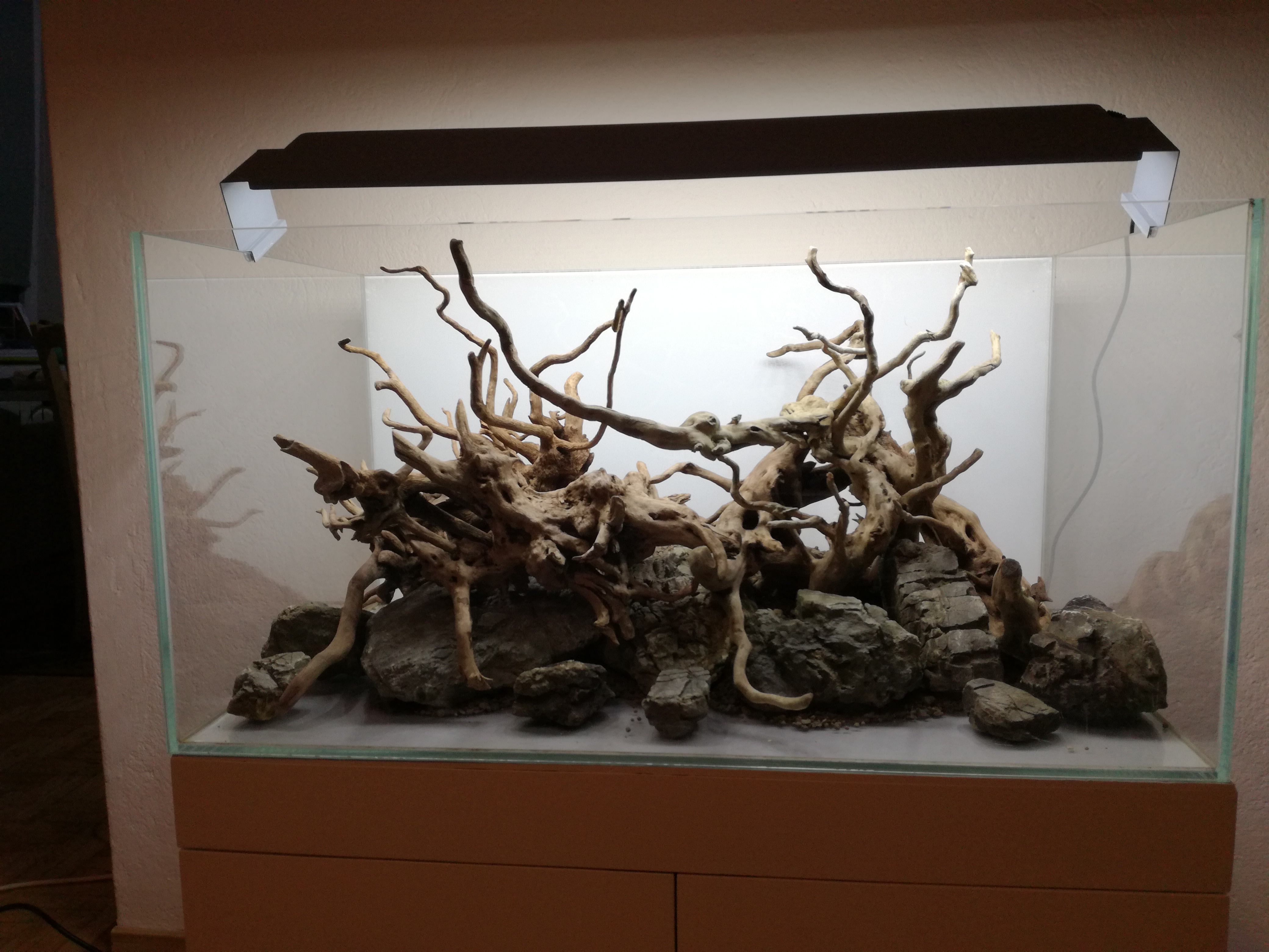 HARDSCAPE_1.jpg