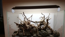116L -pomoc w wyborze hardscape-u