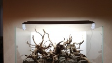 116L -pomoc w wyborze hardscape-u