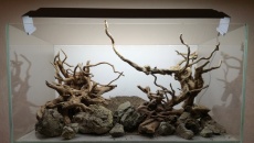 116L -pomoc w wyborze hardscape-u