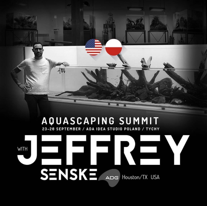 jsenske.jpg