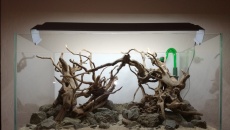 116L -pomoc w wyborze hardscape-u