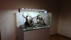 116L -pomoc w wyborze hardscape-u