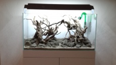 116L -pomoc w wyborze hardscape-u