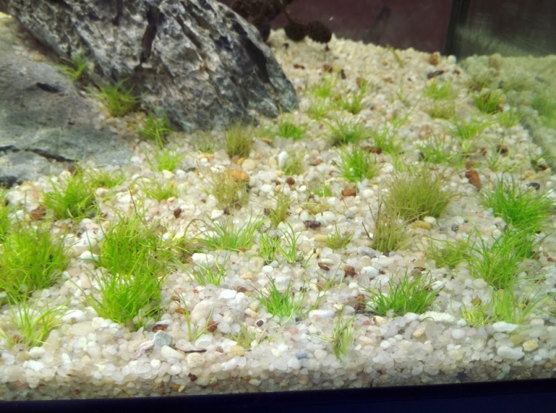 IMAG0092.jpg