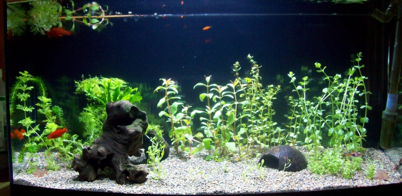 100_0410.JPG