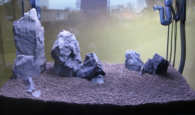 2009-8-10.jpg