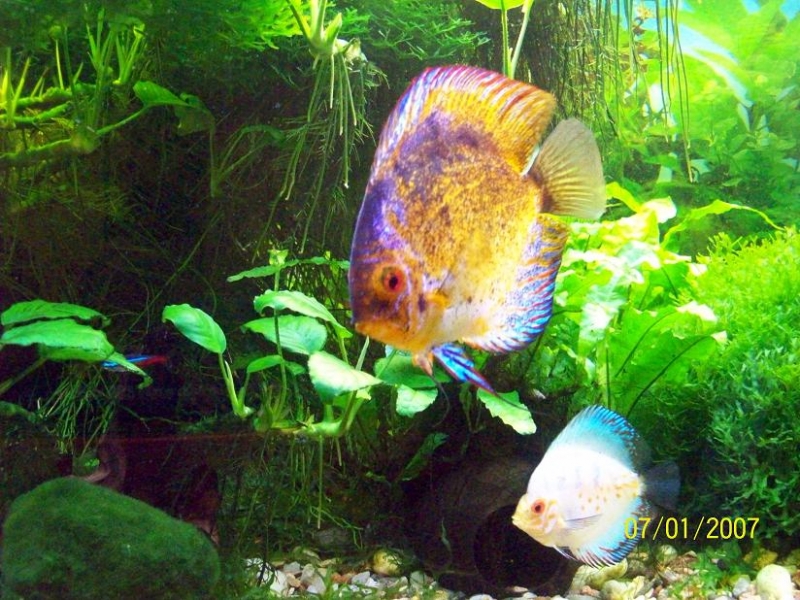 100_2157.JPG