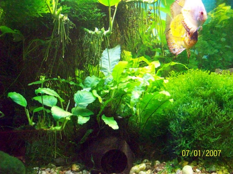 100_2153.JPG
