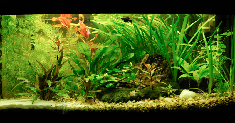15-03-2010-2.jpg