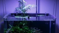 Maxspect RSX-F 50 (R5F-50) – mini test