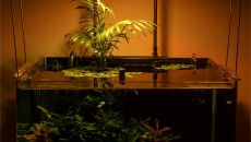 Maxspect RSX-F 50 (R5F-50) – mini test