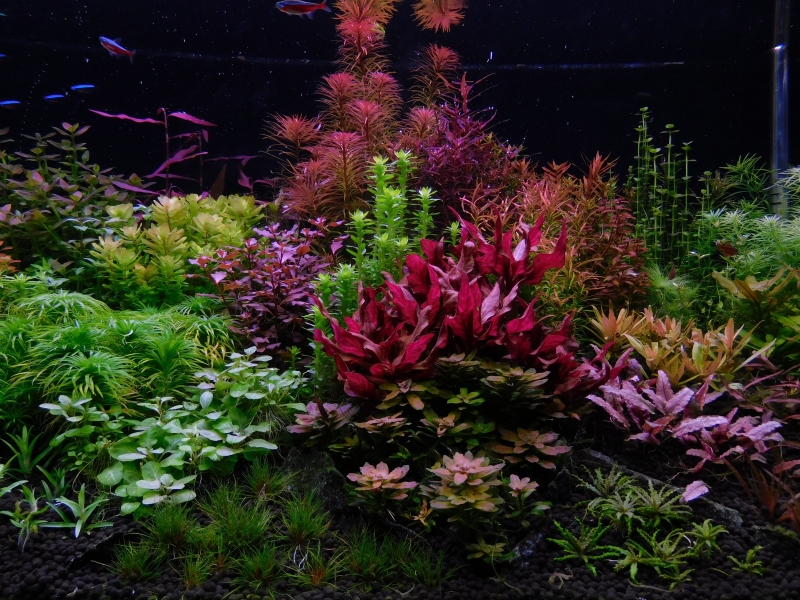 DSCN0229.JPG
