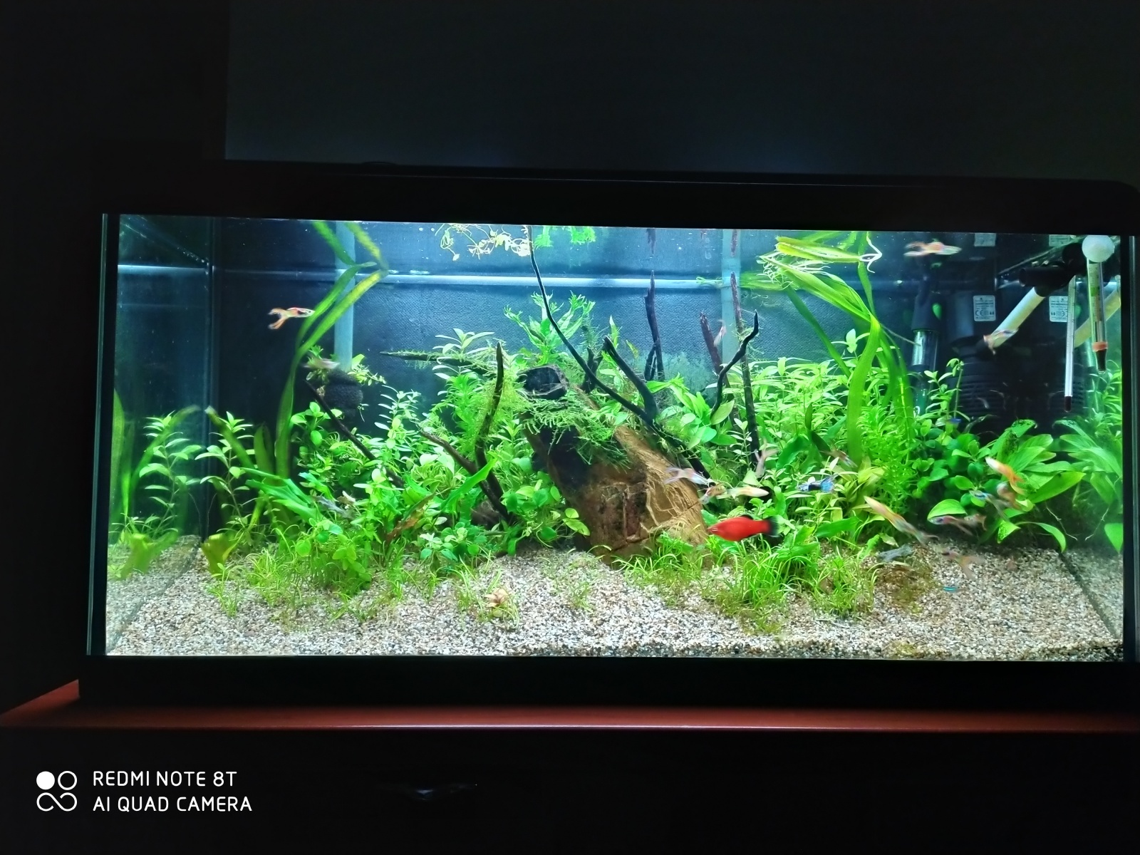 IMG_20201110_212634.jpg