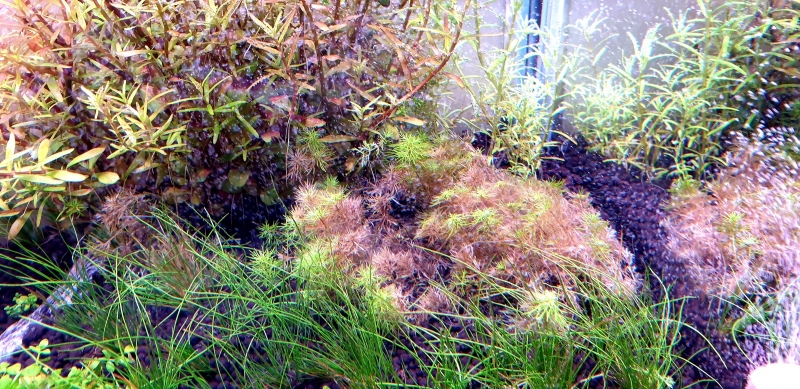 20210322_174254.jpg