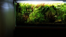 112l - Low Tech - Damian Sz