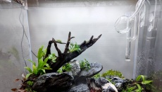 080l - Moje pierwsze próby z Ryuboku-  MateuszBodio