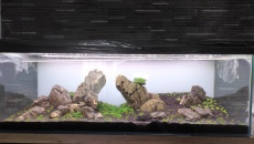 375l - Pierwsze Iwagumi -  fary85