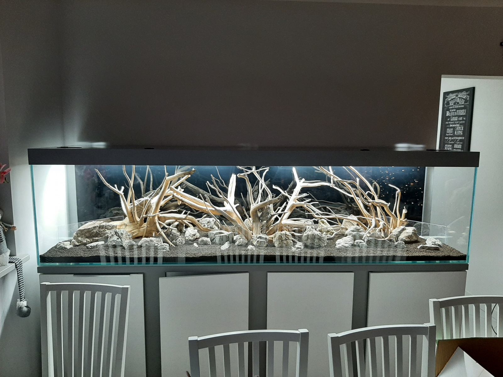 20201226_155040.jpg