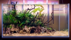 250l - Towarzyski miks - derag0n