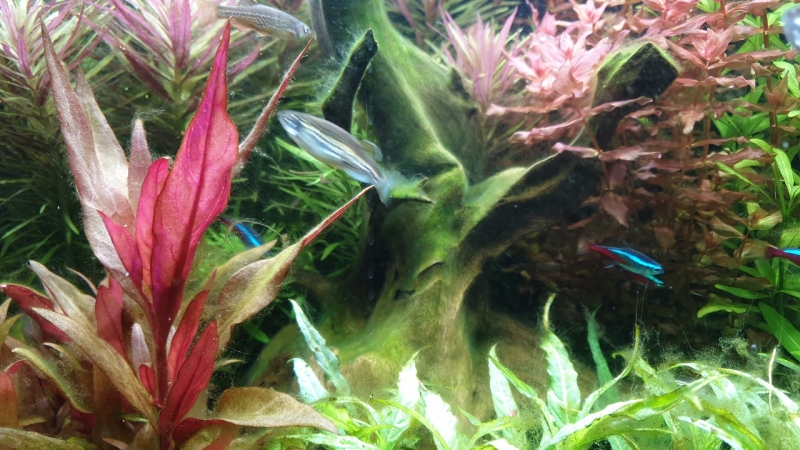 IMG-20210427-WA0007.jpeg