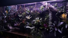 DIY DOOA! By Rfck - Projekt w budowie