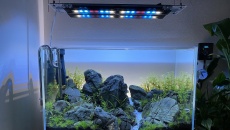 060l - Osaka stone - danielevsky