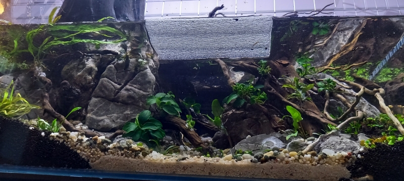 20210517_181716.jpg
