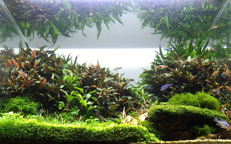 LJ3.jpg