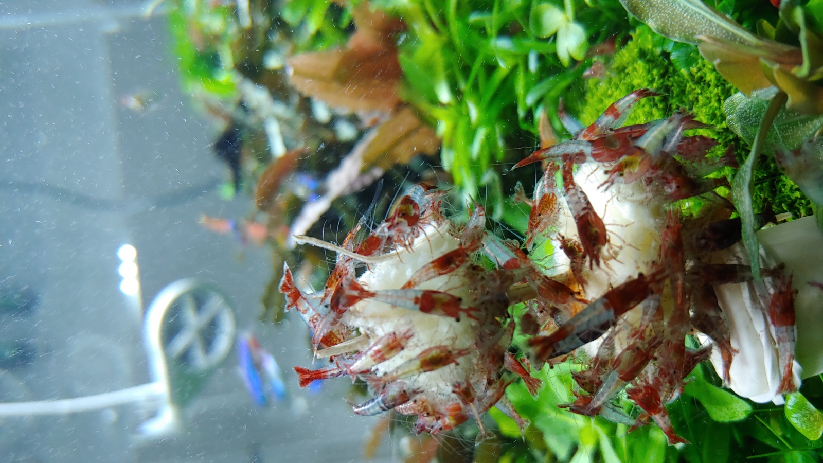 20210410_112418.jpg