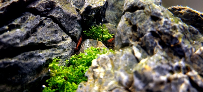 20210611_164814.jpg