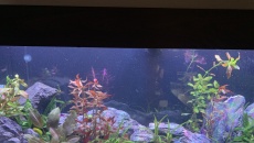 Akwarium Rio 180l
