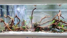 550l - Naturalne 2m wody - Michał