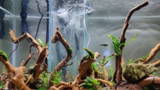 550l - Naturalne 2m wody - Michał